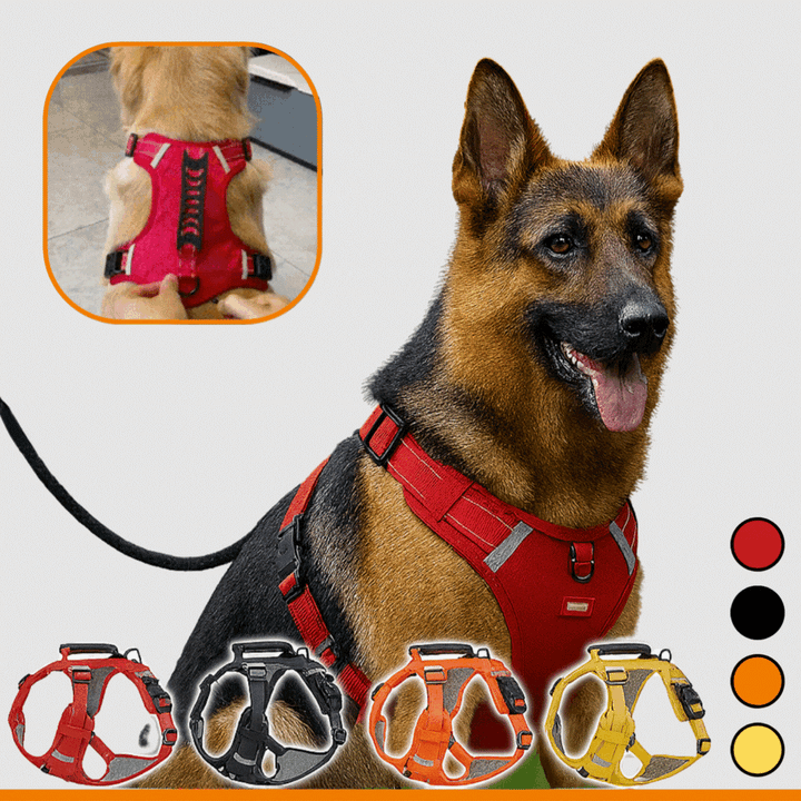 HappyHund Safety Harness Reflective | Kalsten