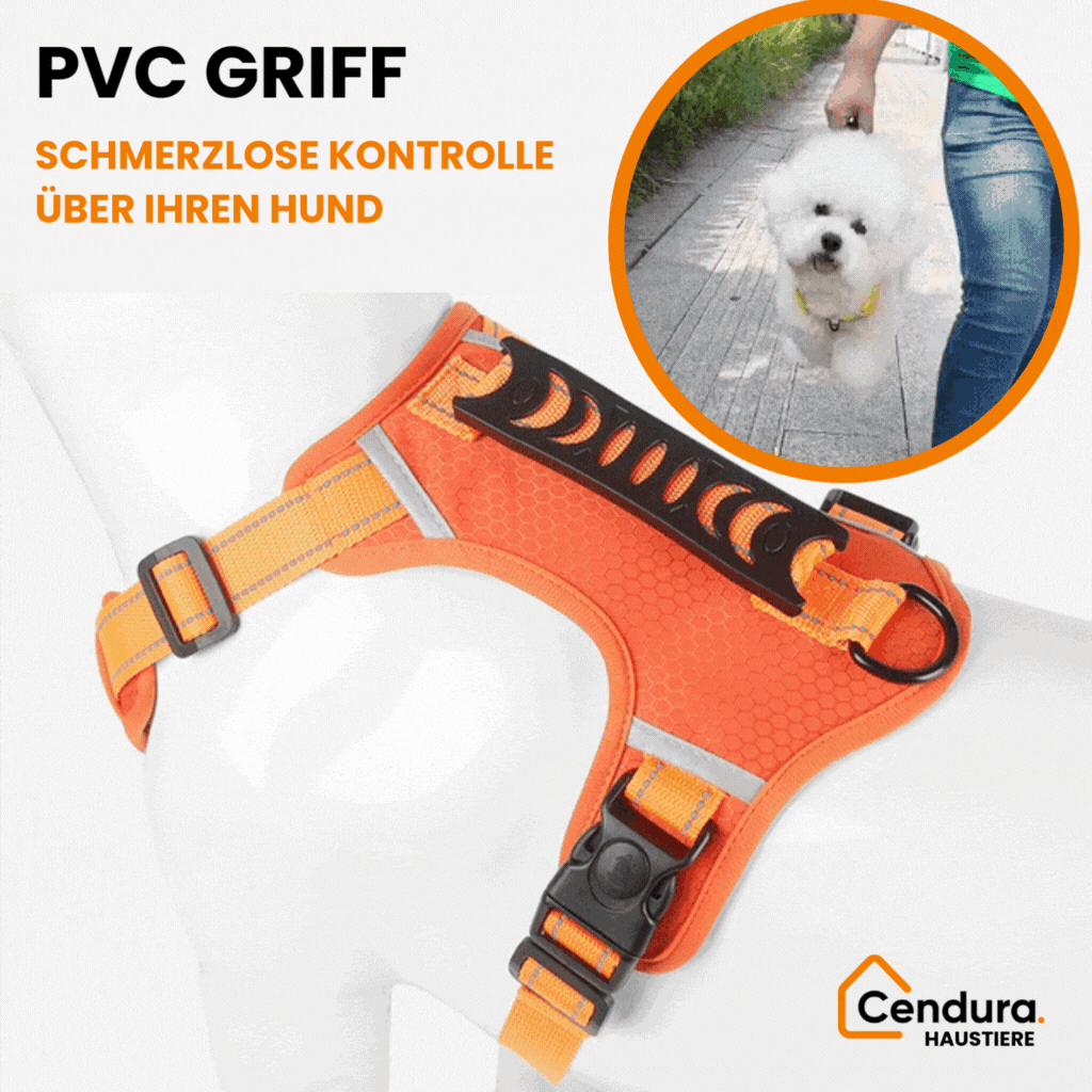 HappyHund Safety Harness Reflective | Kalsten