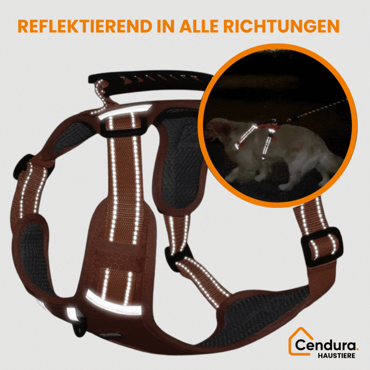 HappyHund Safety Harness Reflective | Kalsten