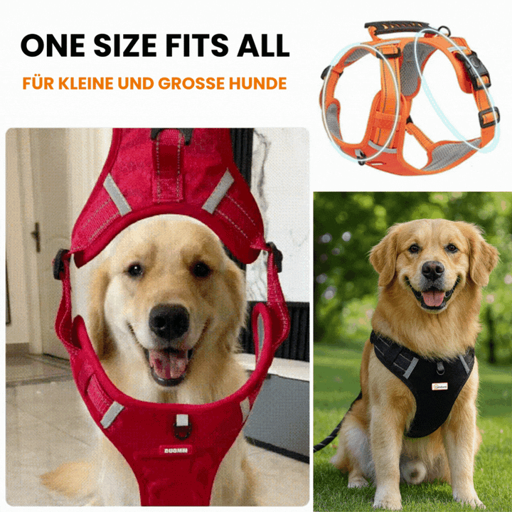 HappyHund Safety Harness Reflective | Kalsten