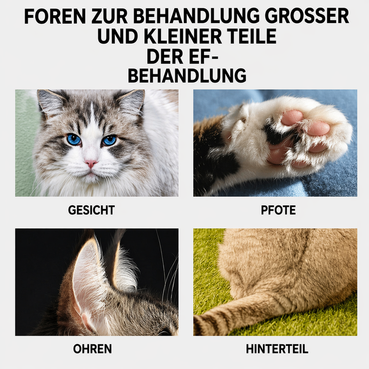 Hair clipper for stress-free grooming | Kalsten