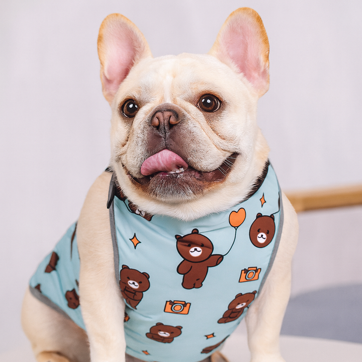 CooLie Frenchie Cooling Vest – Summer Belly Protection Comfort | Kalsten