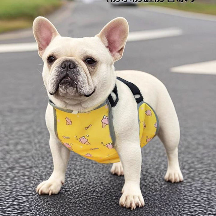 CooLie Frenchie Cooling Vest – Summer Belly Protection Comfort | Kalsten