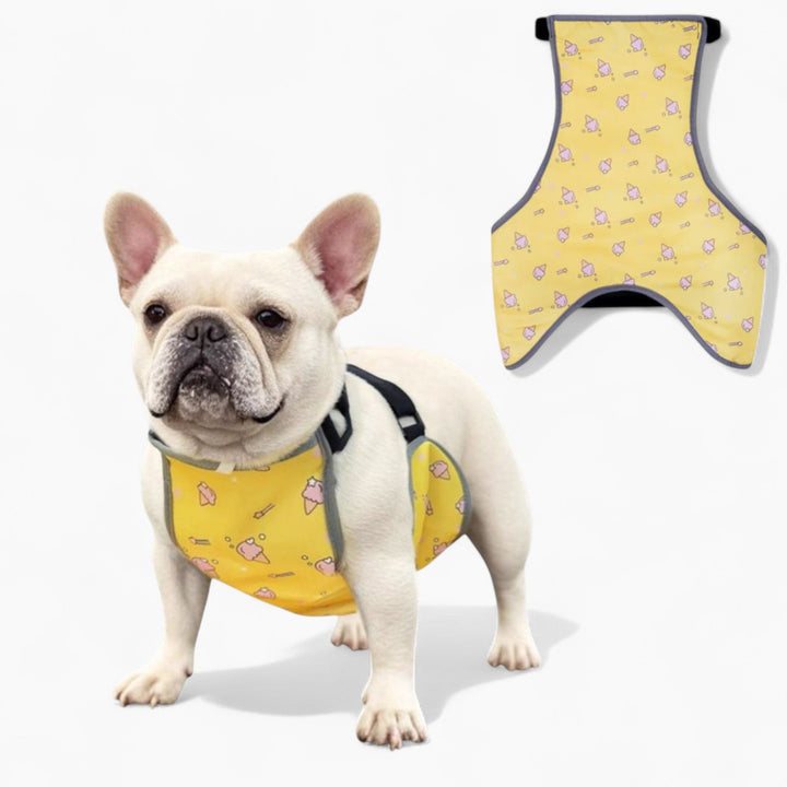 CooLie Frenchie Cooling Vest – Summer Belly Protection Comfort | Kalsten