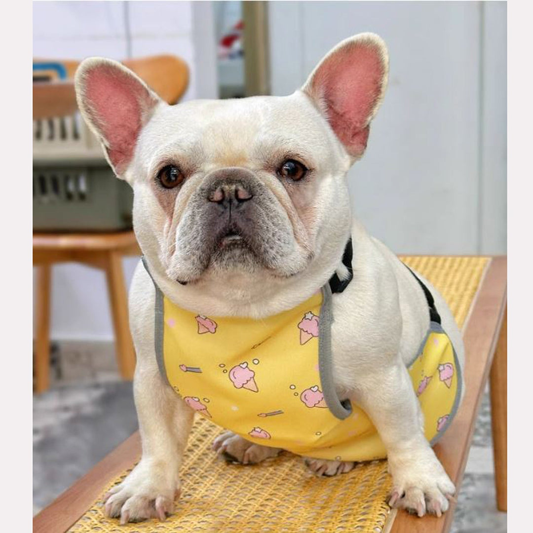 CooLie Frenchie Cooling Vest – Summer Belly Protection Comfort | Kalsten