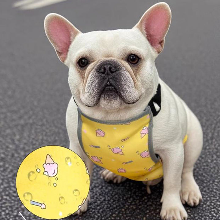 CooLie Frenchie Cooling Vest – Summer Belly Protection Comfort | Kalsten