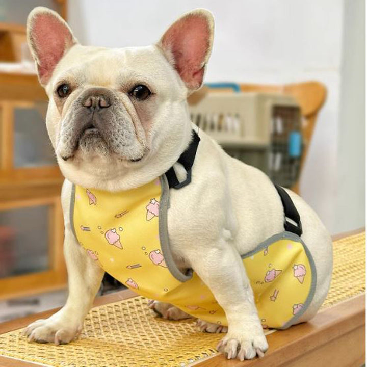 CooLie Frenchie Cooling Vest – Summer Belly Protection Comfort | Kalsten