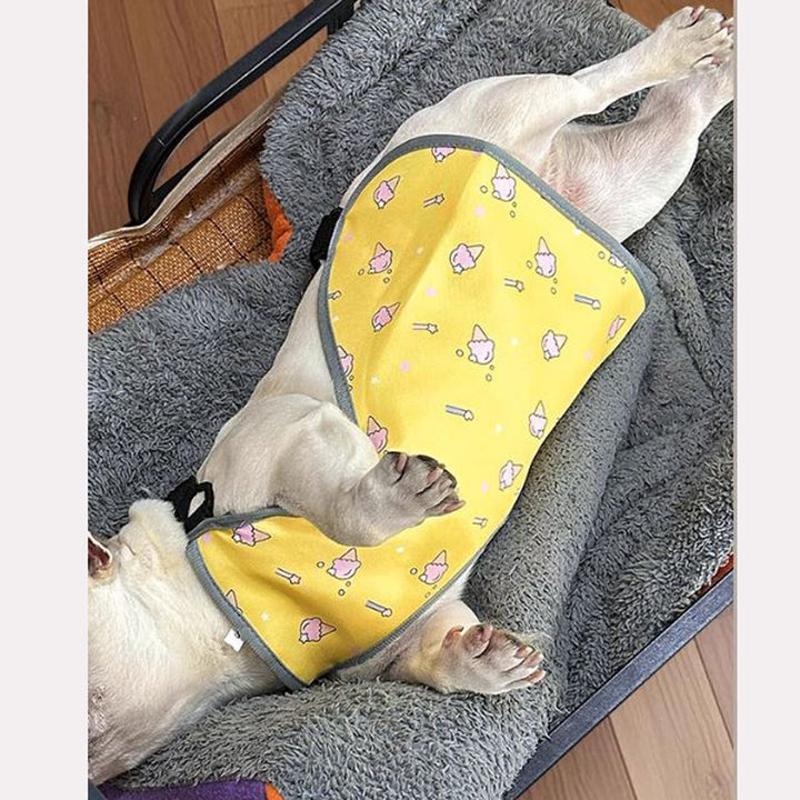 CooLie Frenchie Cooling Vest – Summer Belly Protection Comfort | Kalsten