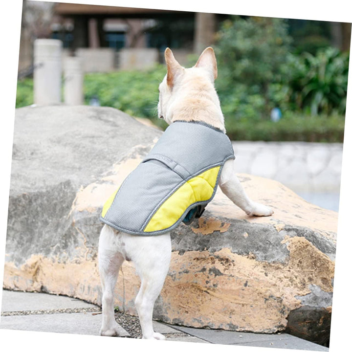 Coolify™ : Cooling Vest for Frenchie (CS13) | Kalsten