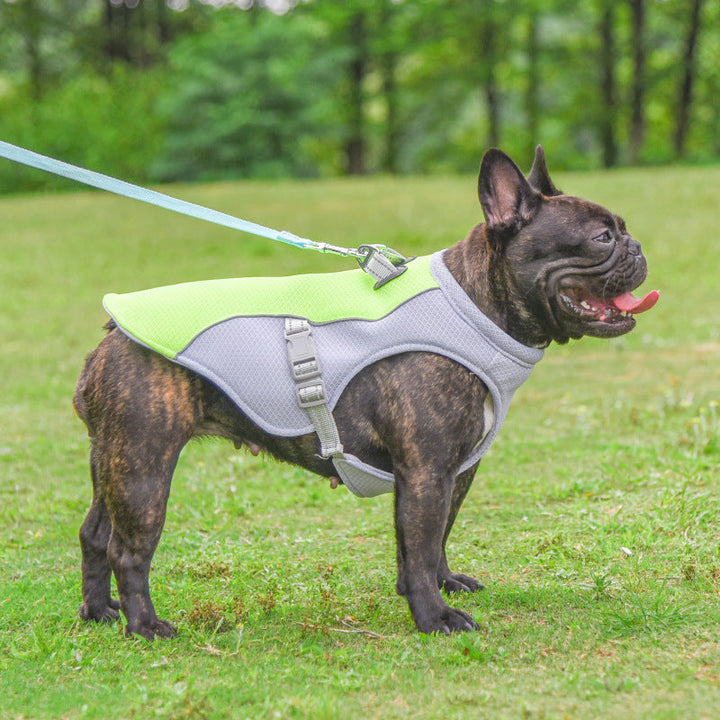 French Bulldog Summer Cooling Vest Heat Resistant Breathable Sun-proof | Kalsten