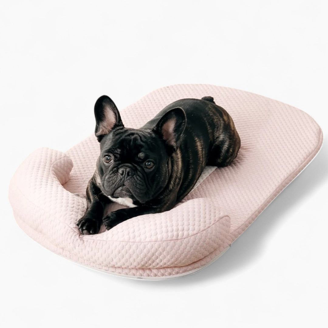 FurCool-French-Bulldog-Cooling-Mat.jpg