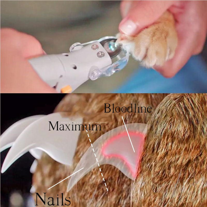 Kalsten | Nail clipper for dogs | Safe toenail clipper