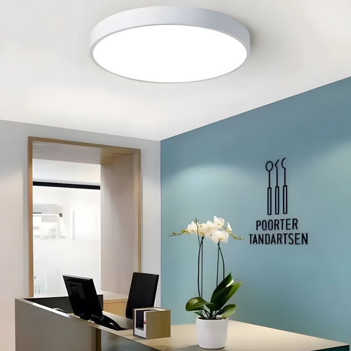 Ceiling Light Acrylic Extra-Thin 15.8 in Indoor Modern Circular LED Lighting Bedroom Dining Room Living Room | Kalsten