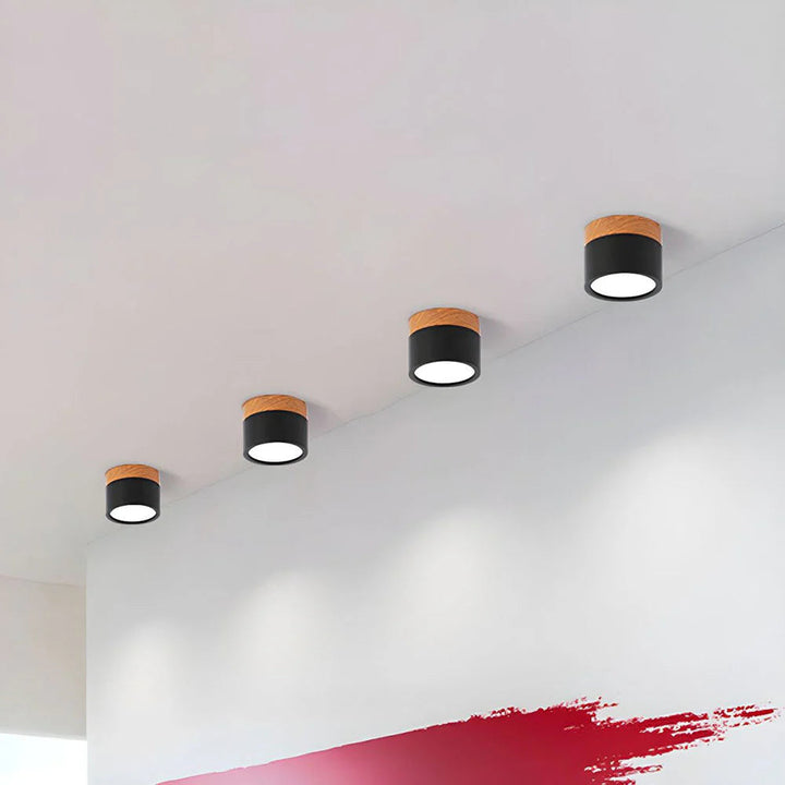 Ceiling Light Aluminum Mini Cylinder 2.8 in x 2.4 in Indoor Hallway Living Room Bedroom Modern Lighting | Kalsten