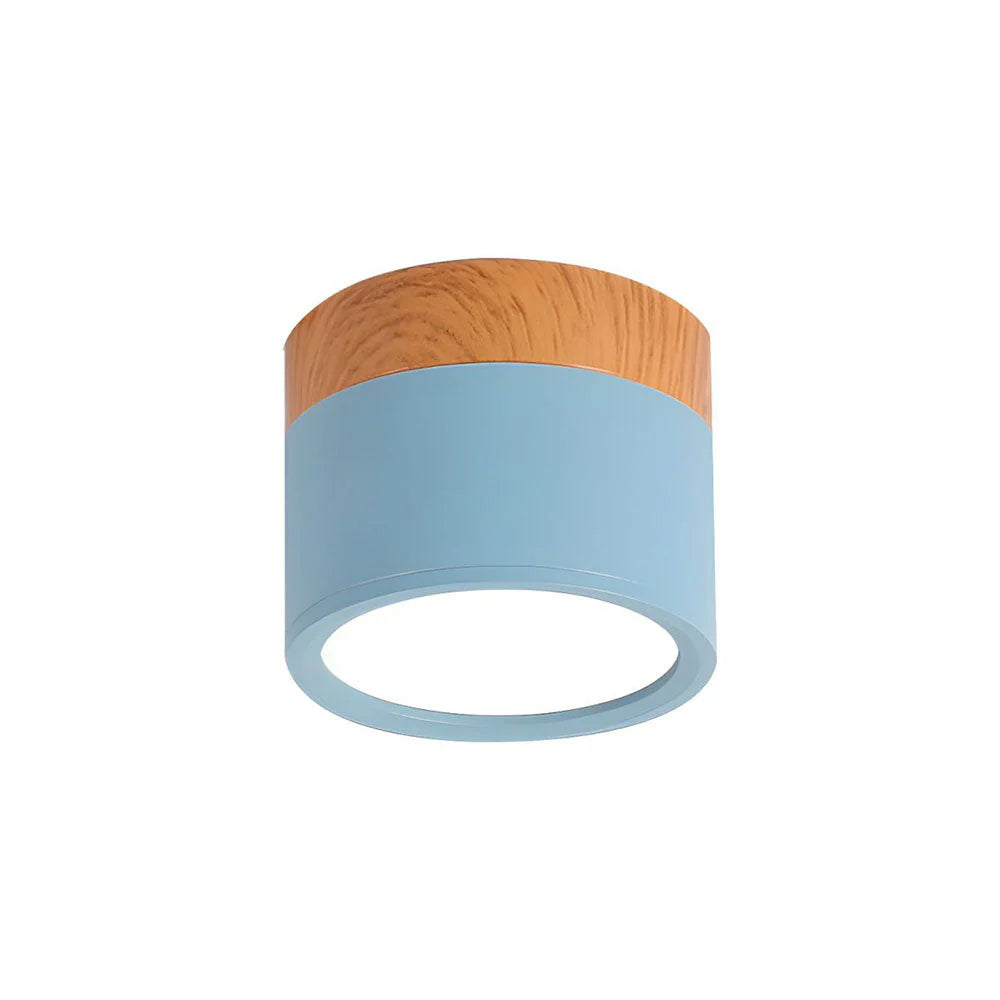 Ceiling Light Aluminum Mini Cylinder 2.8 in x 2.4 in Indoor Hallway Living Room Bedroom Modern Lighting | Kalsten