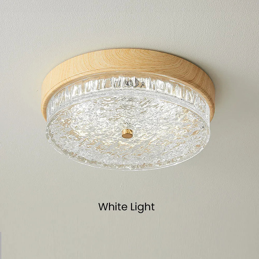 Ceiling Light Glass LED 12.6 in Indoor Bedroom Living Room Dining Room Modern Fixture | Kalsten