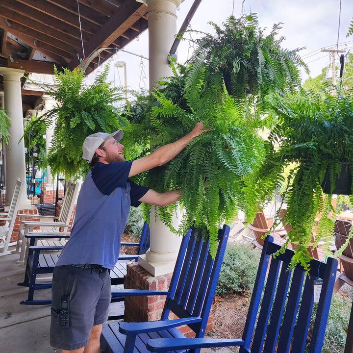 Kalsten | UV Resistant Artificial Boston Fern | Lifelike, Waterproof & Maintenance-Free for Outdoor Décor