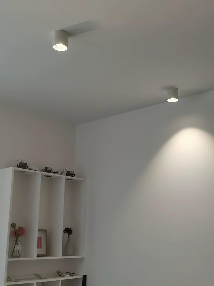 Metal Ceiling Light 3.1 in x 3.3 in White Indoor Modern Flush Mount LED Fixture Warm Neutral Cool | Kalsten