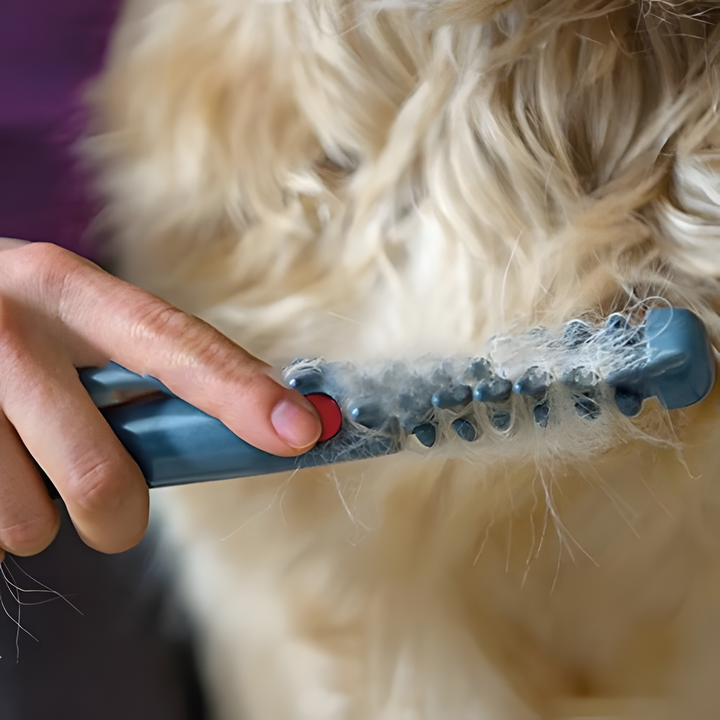 Kalsten | No more knots and tangles for your pet