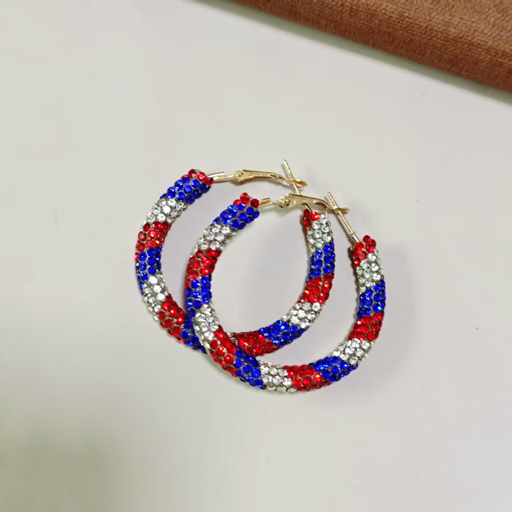 Women's handcrafted crystal pavé hoop earrings with curved tube element and clasp closure Kalsten