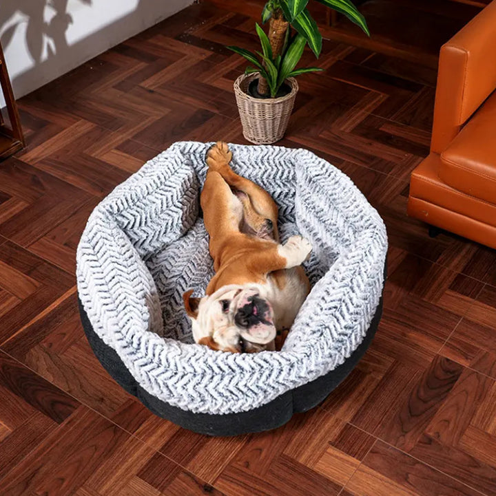 Cozy Cuddler Dog Bed