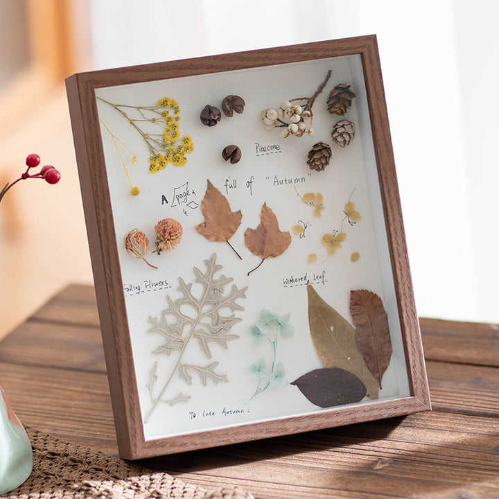 Decorative Butterfly Wall Art for Home