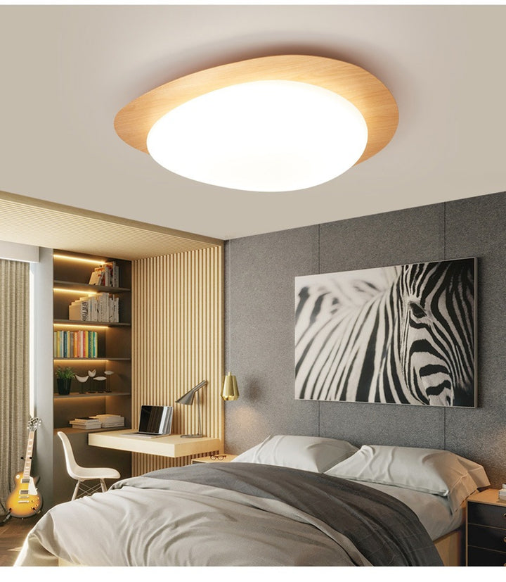 Modern Decorative Ceiling Light