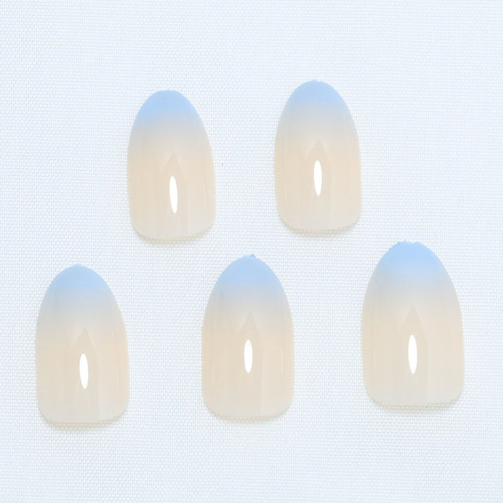 Ombre Press-On Nail Tips Kalsten
