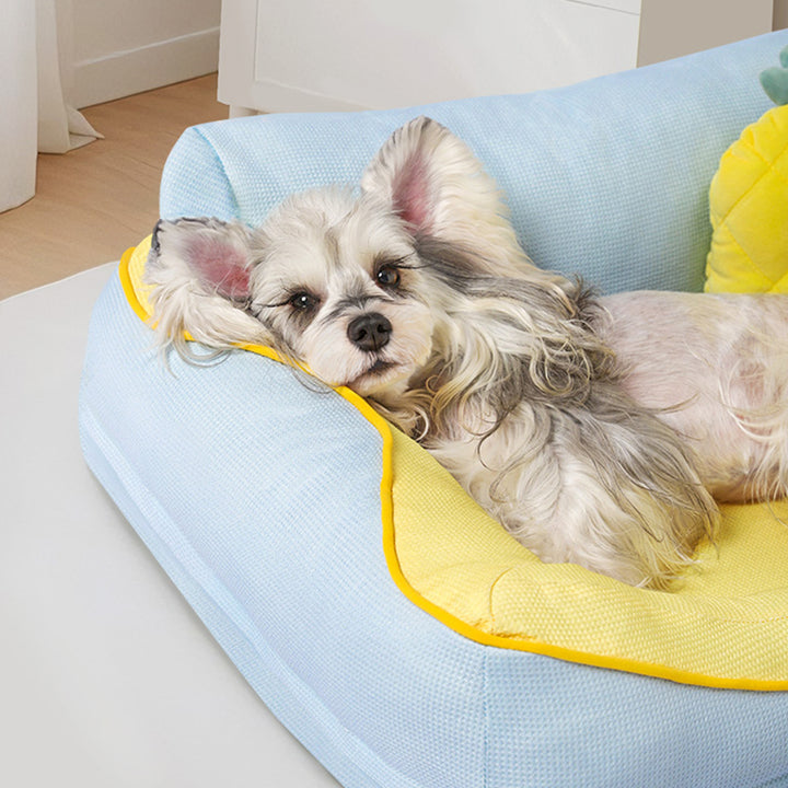 Cozy Bolstered Dog Bed Sofa