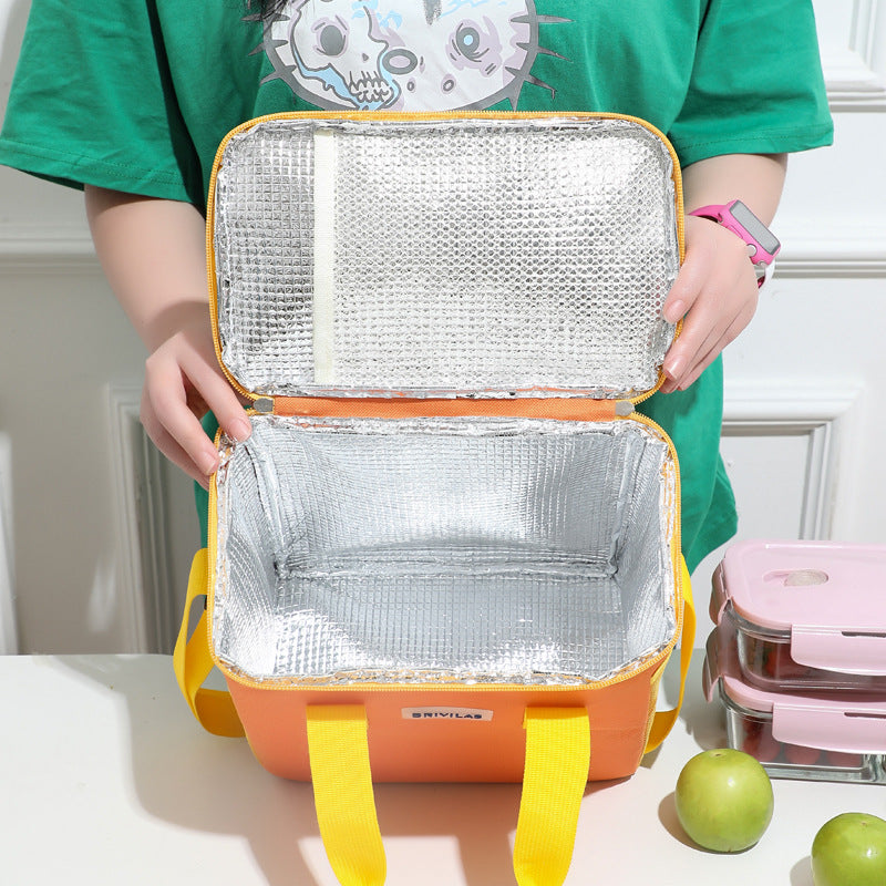 Insulated Food Carrier Cooler Bag