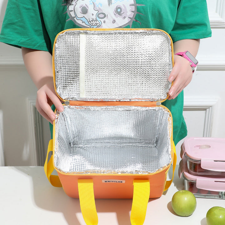 Insulated Food Carrier Cooler Bag