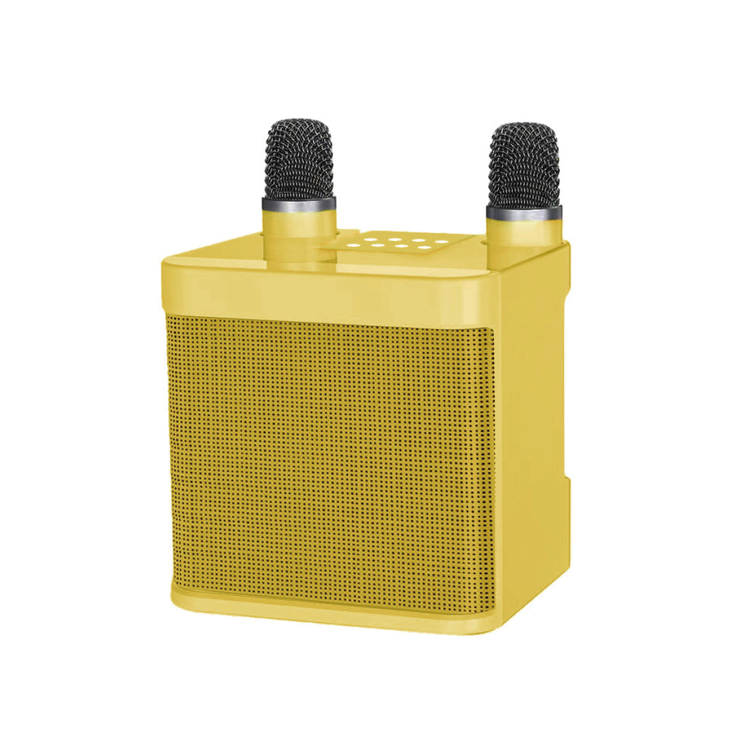 Karaoke Speaker System Kalsten