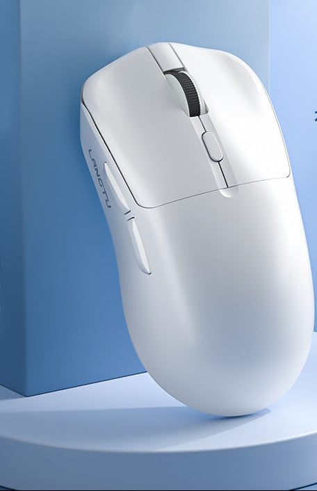 Wireless Ergonomic Gaming Mouse Kalsten