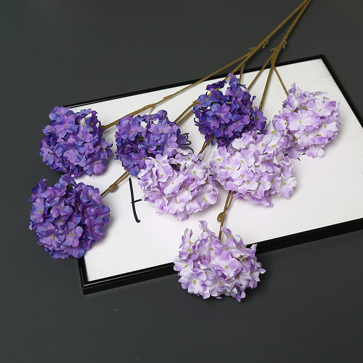 Decorative Dried Floral Stem for Home Decor