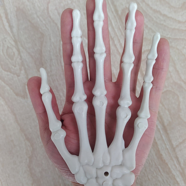 Anatomical Hand Skeleton Model Kalsten