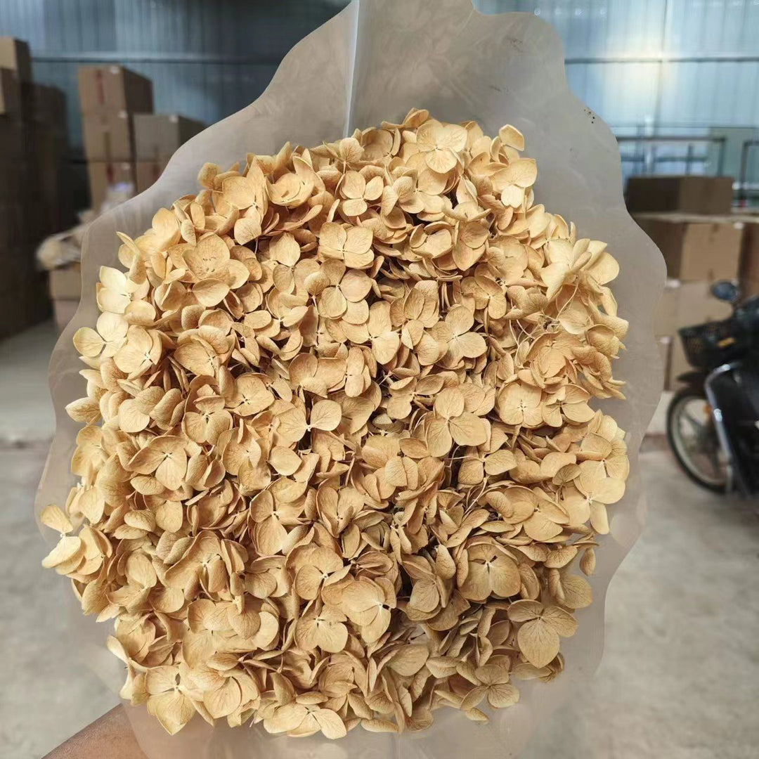 Dried Floral Petals