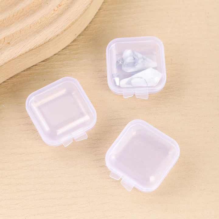 Compact Clear Medicine Storage Case Kalsten