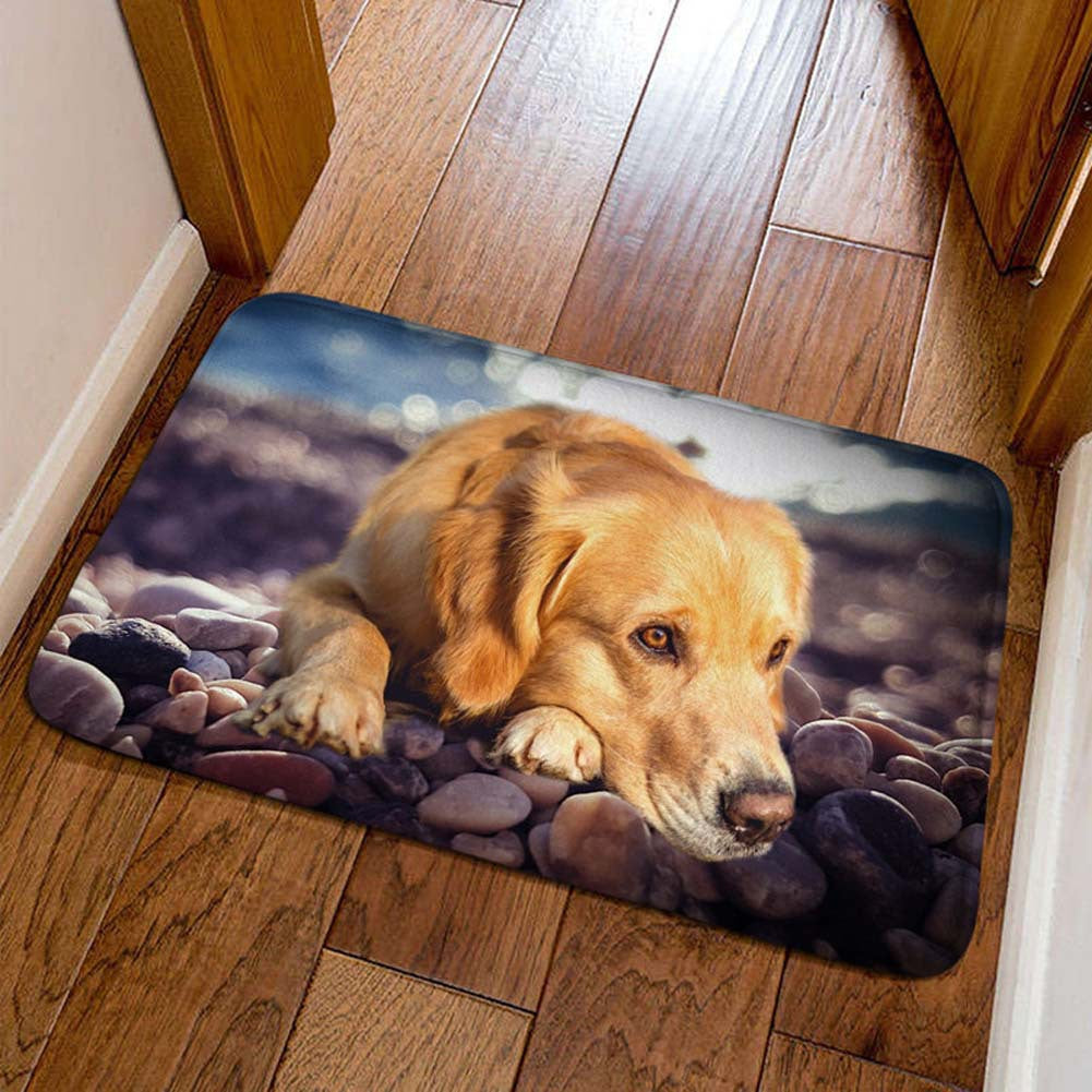Decorative Cat Welcome Mat Kalsten
