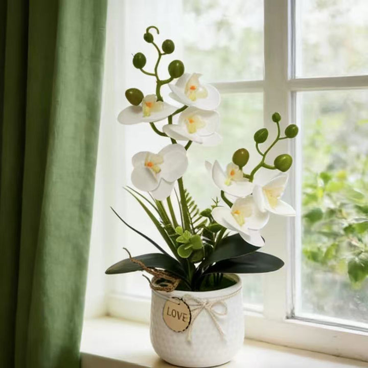 Home Décor Artificial Orchid for Indoor Decorative Display