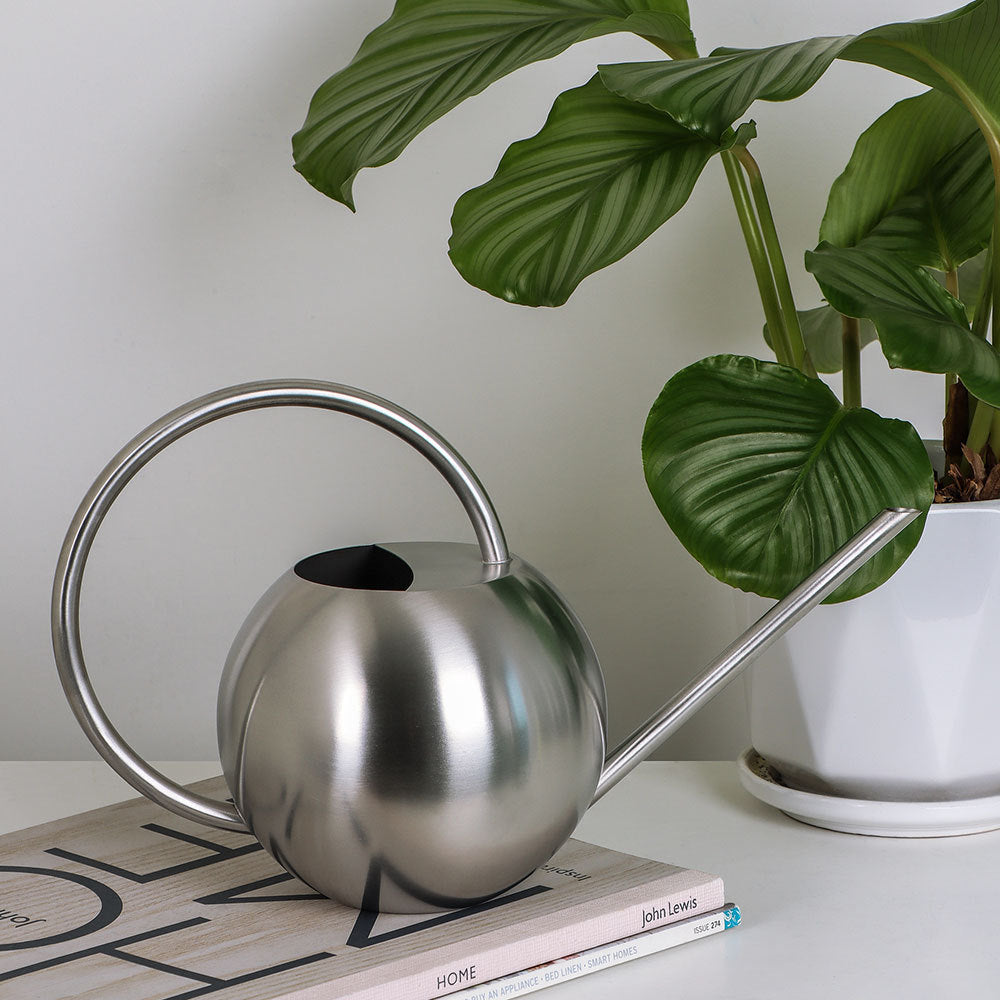 Stylish Modern  Watering Can