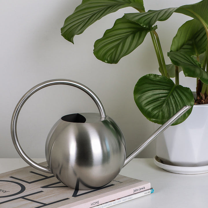 Stylish Modern  Watering Can