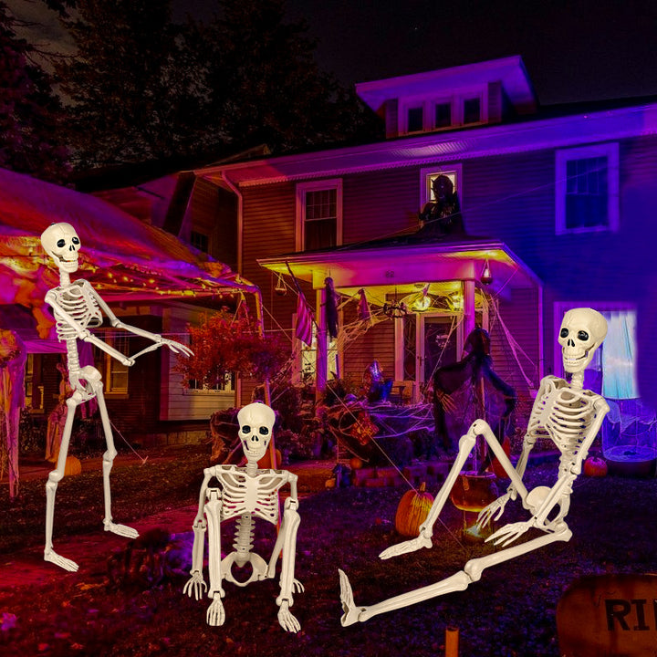 Decorative Skeleton Kalsten