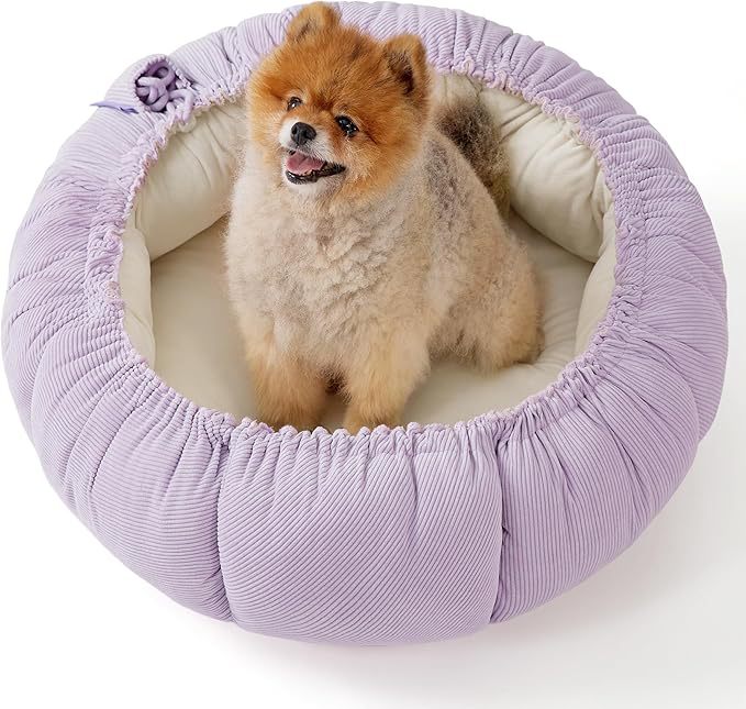 Cozy Round Pumpkin-Shaped Dog Bed