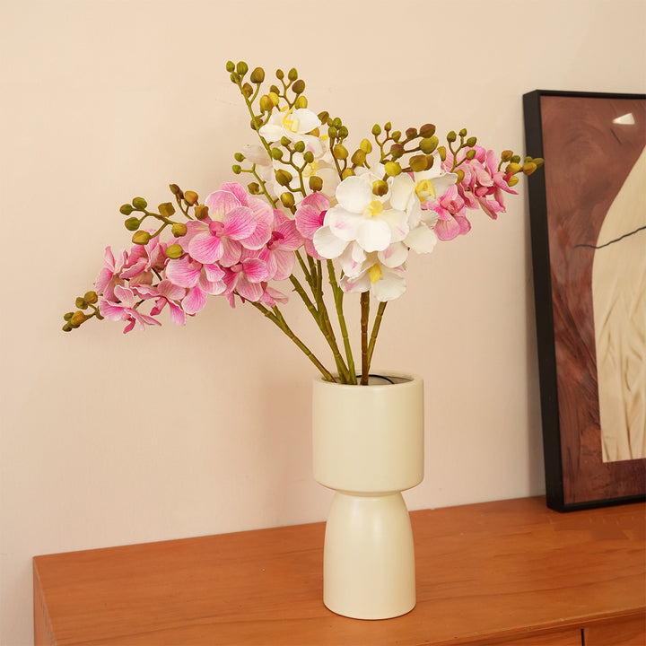 Elegant Orchid Stems Kalsten