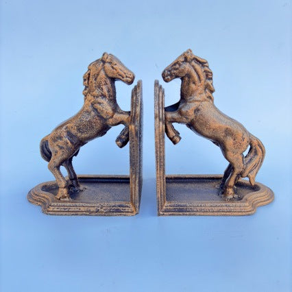 Decorative Bookends