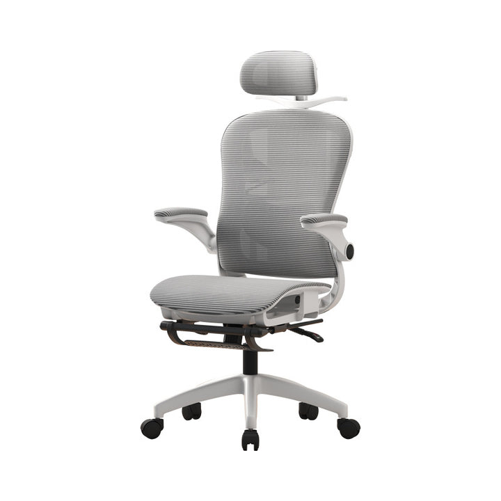 Ergonomic Mesh Back Office Chair Kalsten