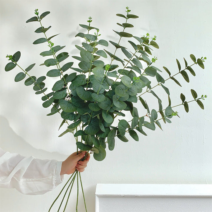 Decorative Eucalyptus Stem