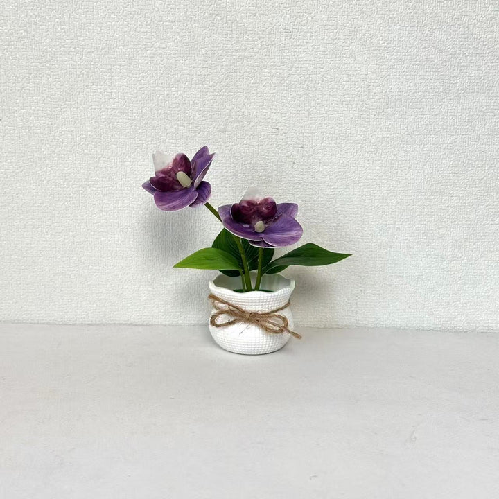 Decorative Potted Orchid Arrangement for Indoor Display