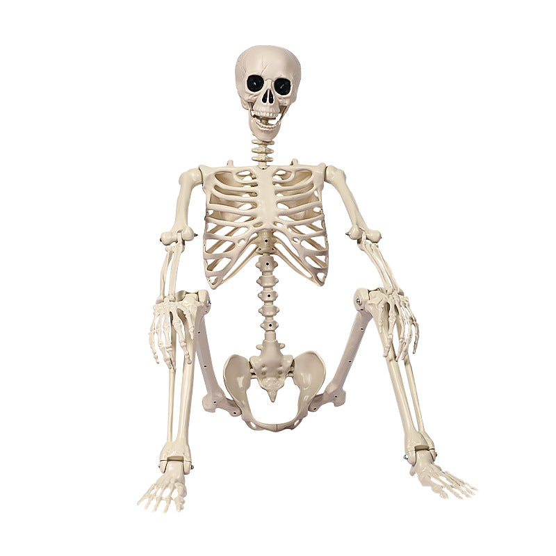 Realistic Sitting Skeleton Prop Kalsten