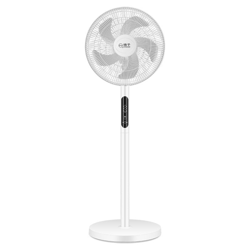 Ladies Stand Fan Kalsten
